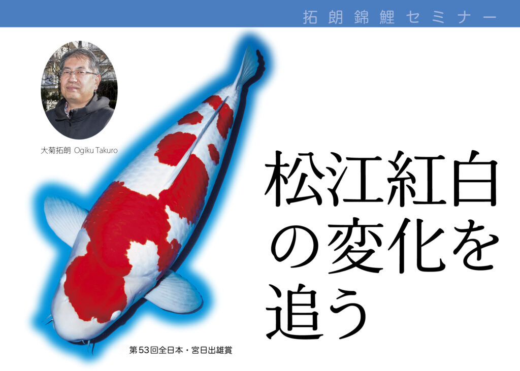 送料無料　月刊錦鯉　年間購読 鱗光 月刊錦鯉 日鱗 52冊セット まとめ売り 錦鯉 鱗光 月刊錦鯉