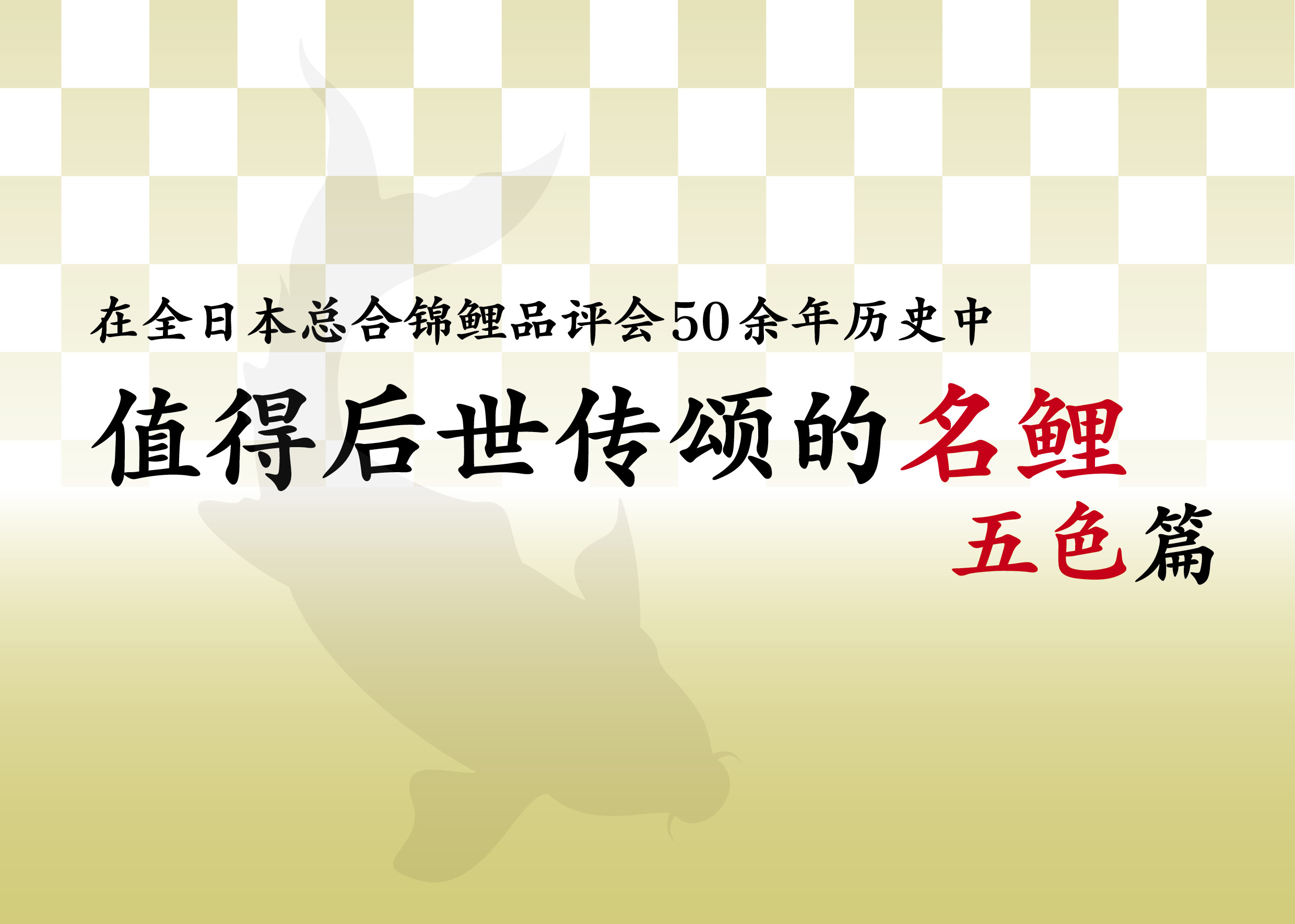 在全日本总合锦鲤品评会50余年历史中值得后世传颂的名鲤／五色| 月刊錦鯉一般社団法人全日本錦鯉振興会認定機関誌